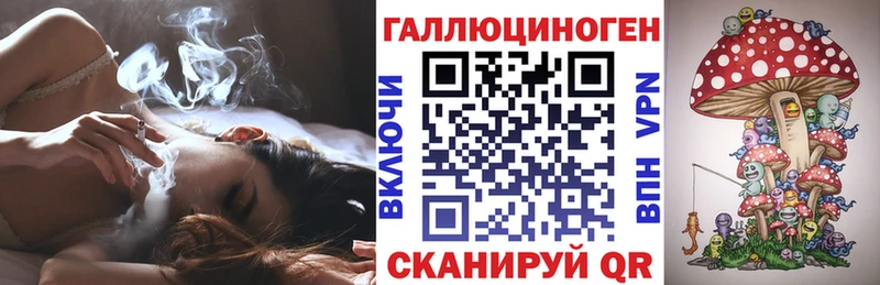 цены наркотик  Суздаль  Галлюциногенные грибы мицелий 